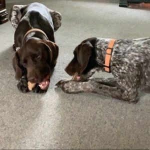 Meet your Posher, Candace